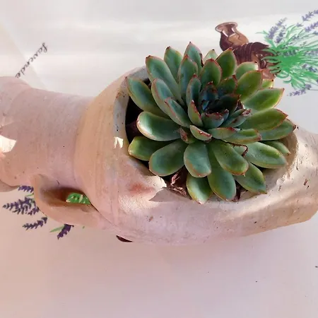 Appartamento By The Sea Brna, Korcula - 4333 *